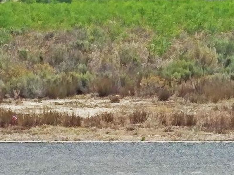 A Haven to Hold - Photo 8