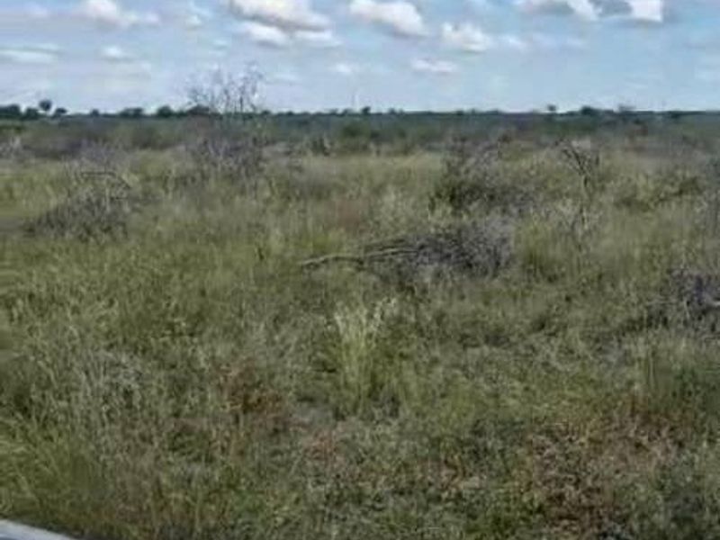 Farm For Sale - Photo 2