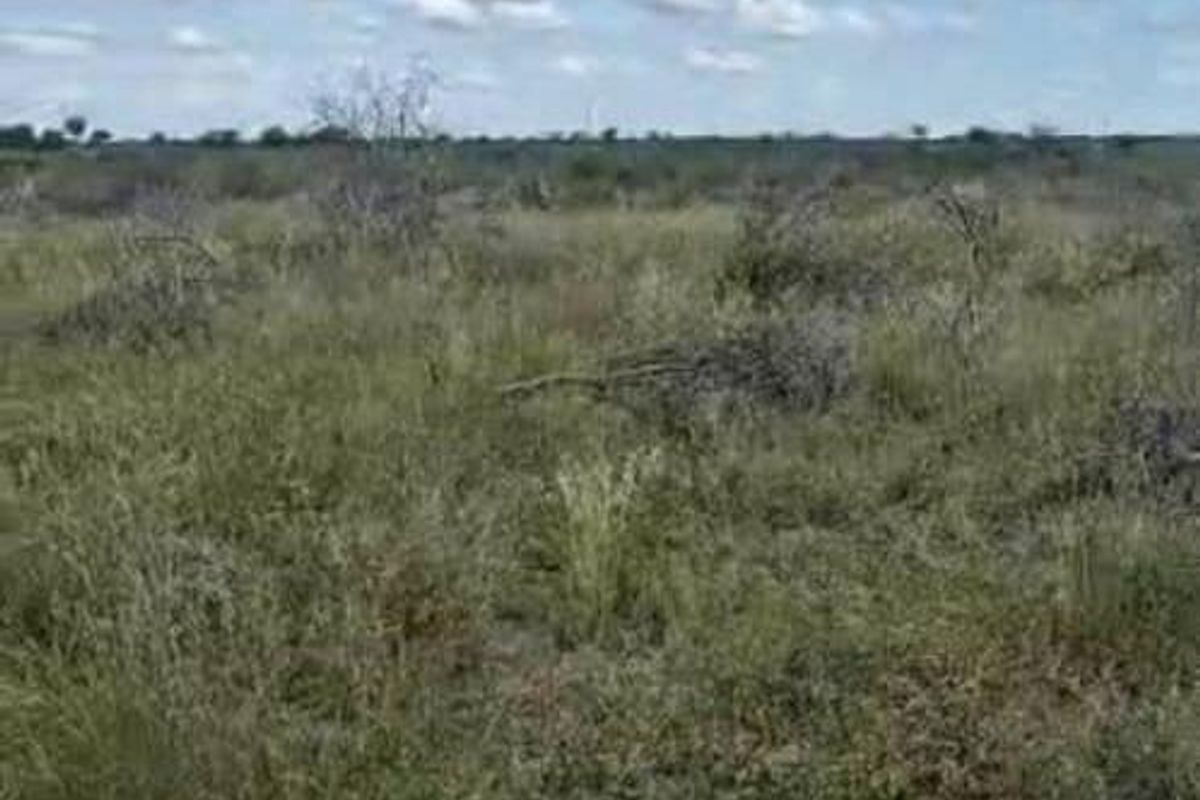 Farm For Sale - Photo 2