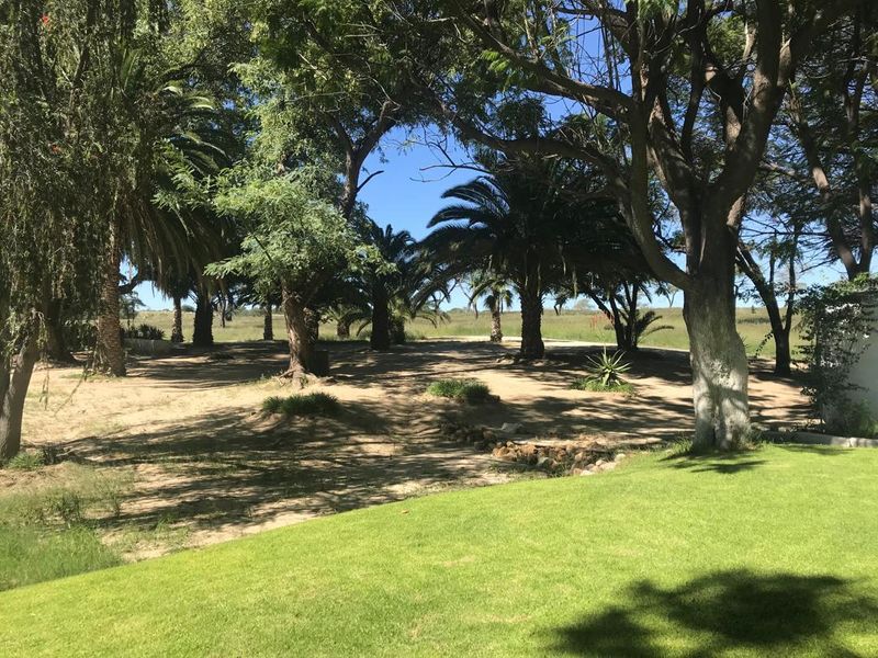 Omaruru- Large Game farm with strong water - Photo 8