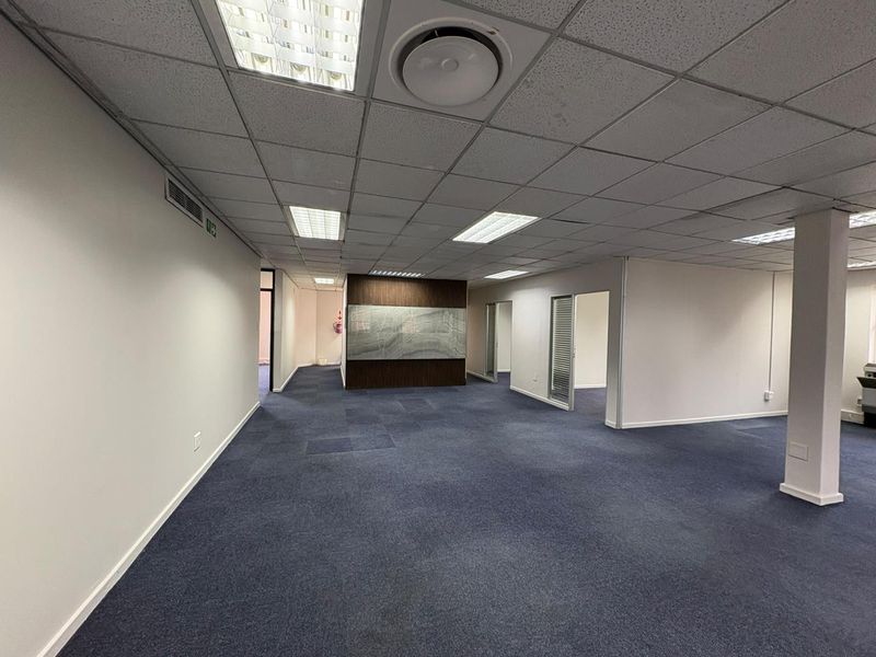 Spacious open-plan office area featuring a suspended ceiling, recessed lighting, and a decorative wood-paneled feature wall with blue carpeting throughout.