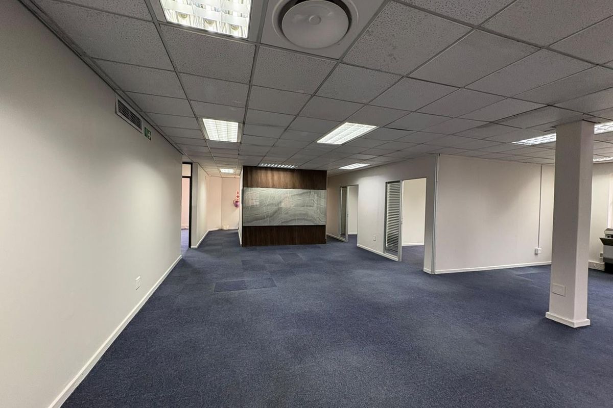 Spacious open-plan office area featuring a suspended ceiling, recessed lighting, and a decorative wood-paneled feature wall with blue carpeting throughout.