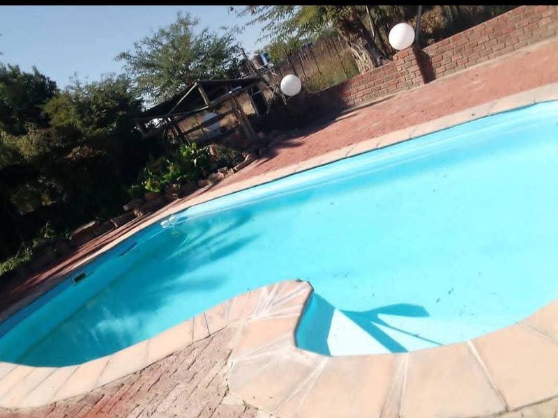 Outdoor swimming pool area featuring a paved surround and brick boundary wall, set within a garden environment.