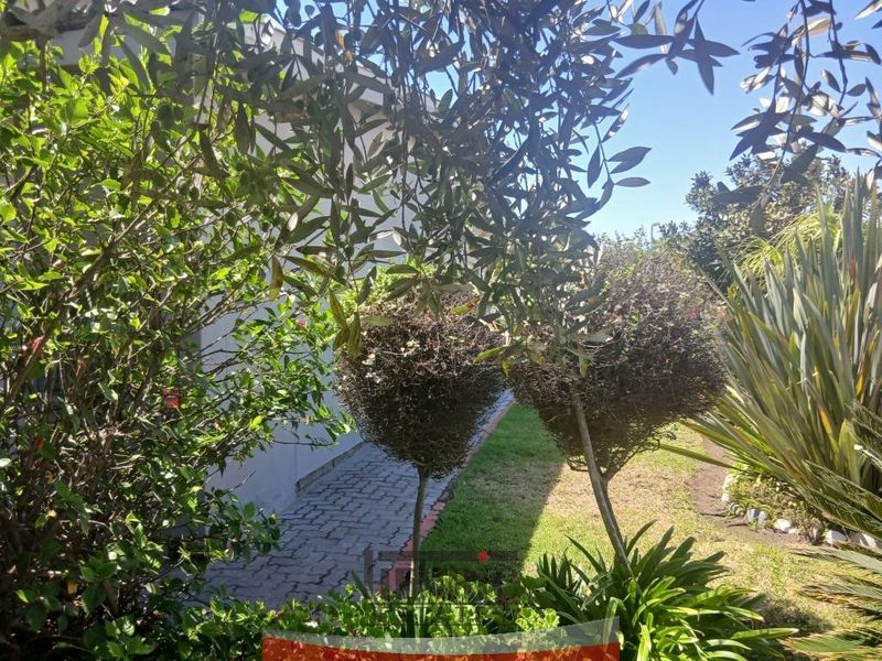 Neatness and space don't come better than this - Photo 2