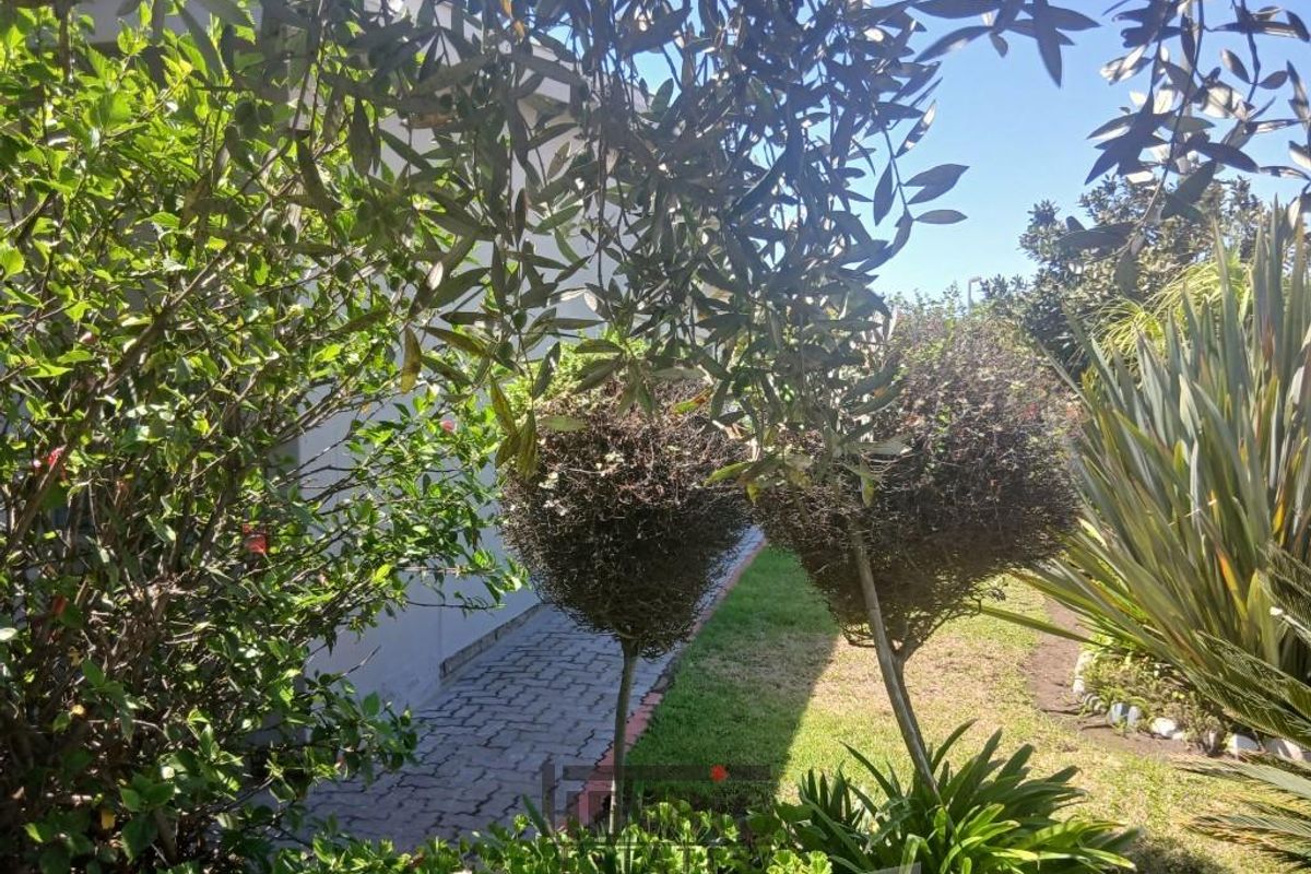 Neatness and space don't come better than this - Photo 2