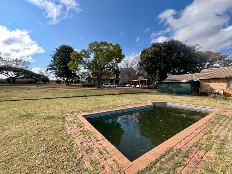 Country Living Meets City Convenience: Exceptional Mnandi Smallholding - Photo 10