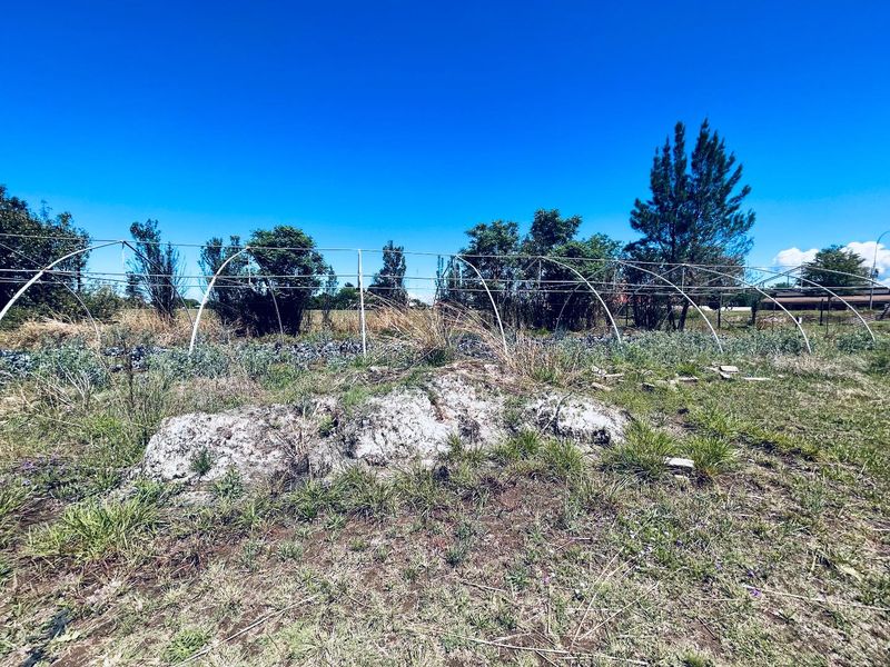 Vacant site for sale in Good area of Utrecht - Photo 3