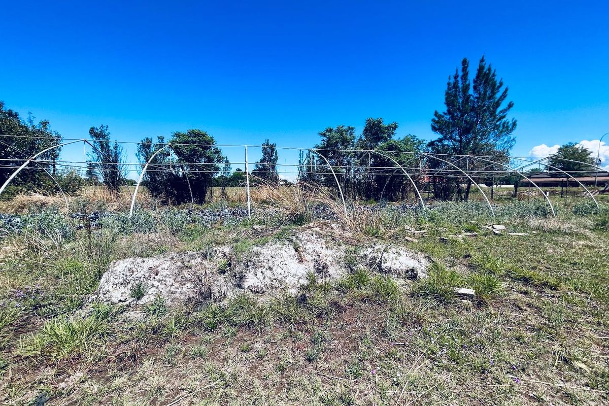 Vacant site for sale in Good area of Utrecht - Photo 3