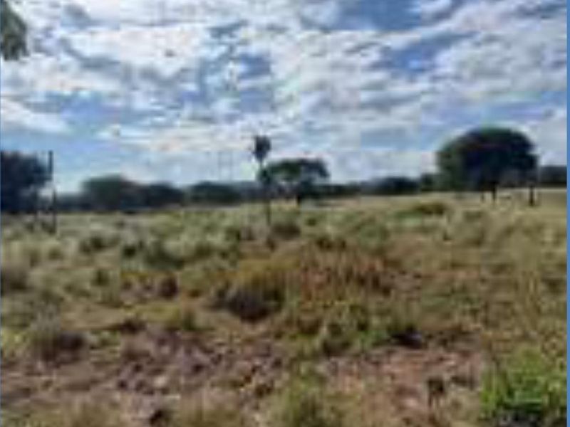 Own your own "little farm", just 8 kilometers from Otavi on the Tsumeb road. - Photo 2