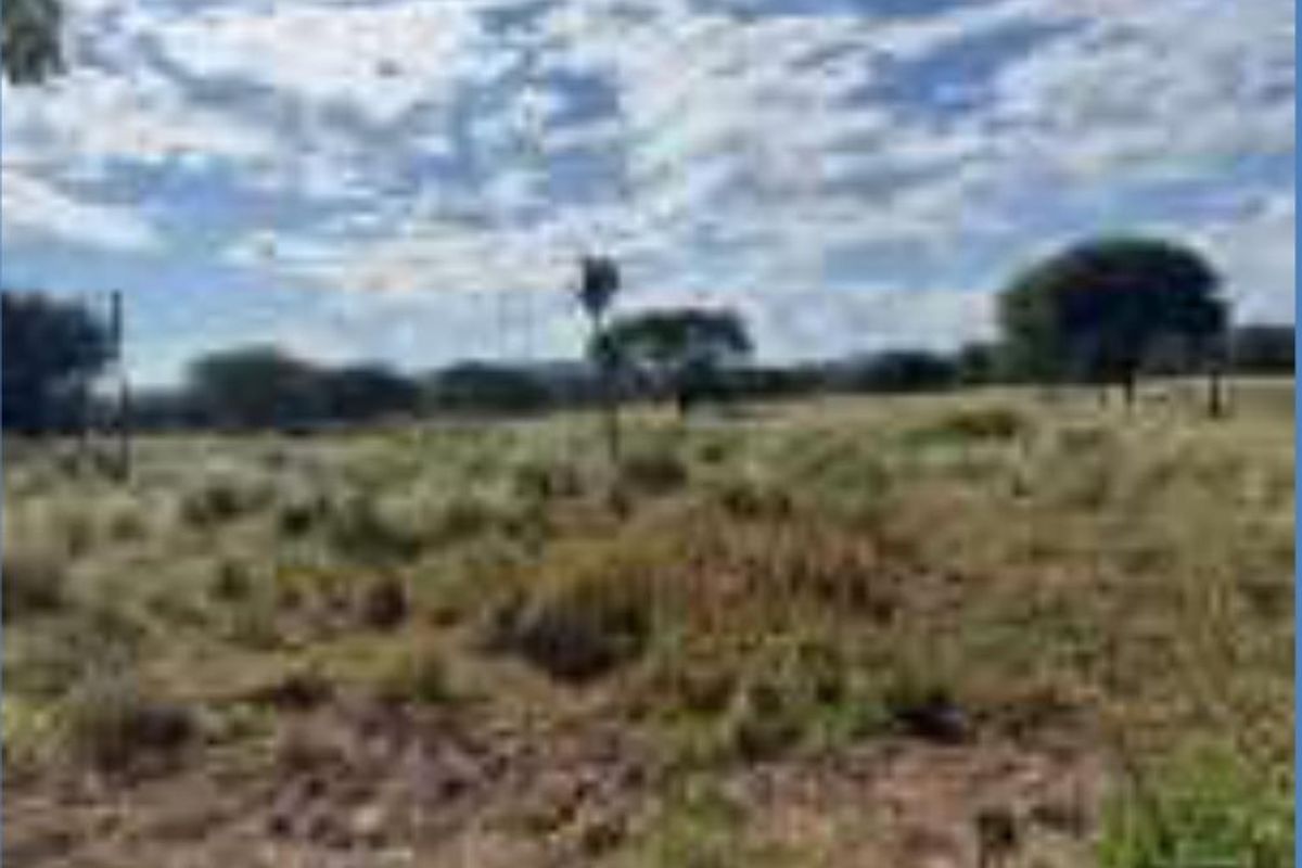 Own your own "little farm", just 8 kilometers from Otavi on the Tsumeb road. - Photo 2