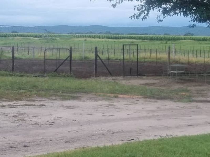 Irrigation Small Holding For Sale in Tsumeb Area - Photo 6