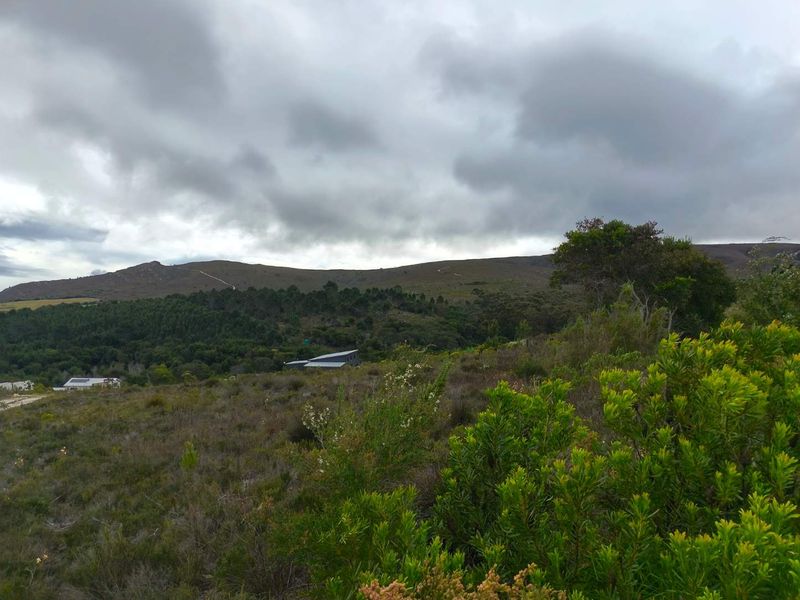 A scenic view of the surrounding natural landscape, hills, and vegetation from the vacant residential land.
