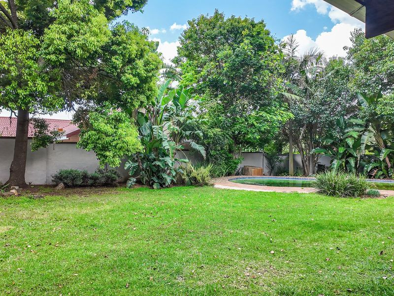 A spacious backyard garden featuring a swimming pool, established trees, and a secure boundary wall, offering a private outdoor retreat.