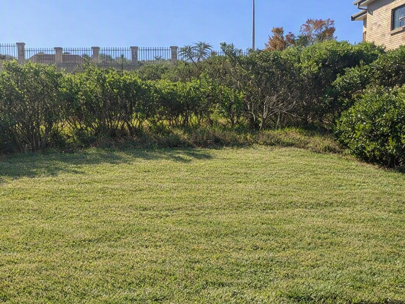 A well-maintained residential garden area featuring a manicured lawn, established perimeter hedging, and secure boundary fencing.