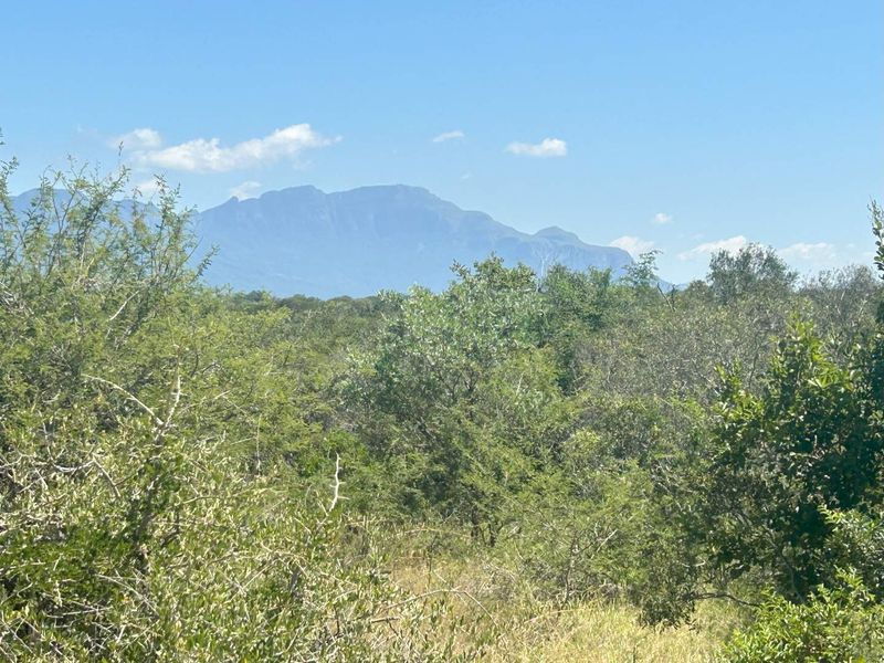 MODITLO NATURE RESERVE - Vacant land for sale! - Photo 9