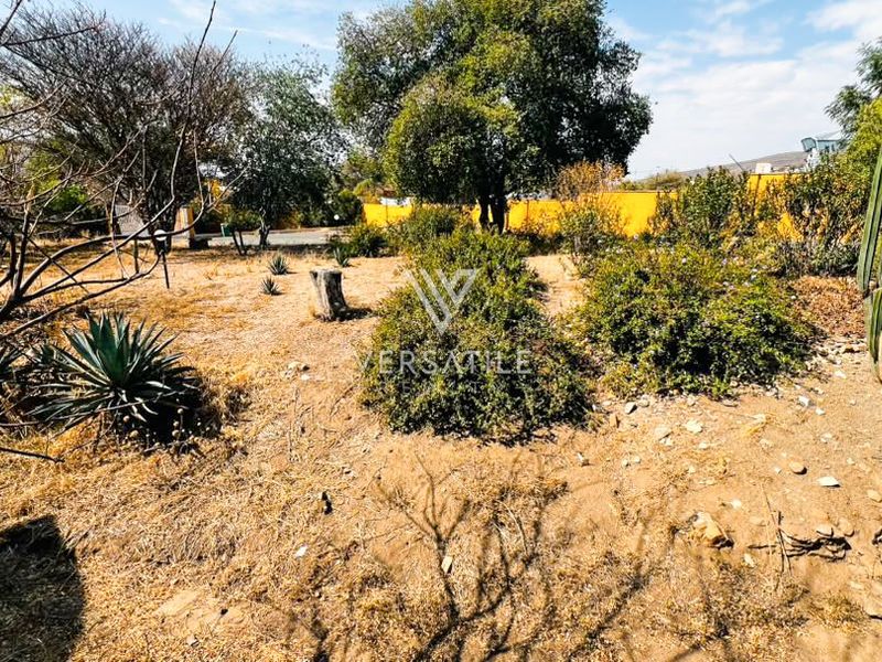 Prime Klein Windhoek | Spacious 5 Bedroom Residence with Business Potential - Photo 7
