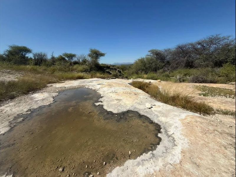 A natural landscape view featuring exposed rock formations and a seasonal water pool set within the farm's open terrain.