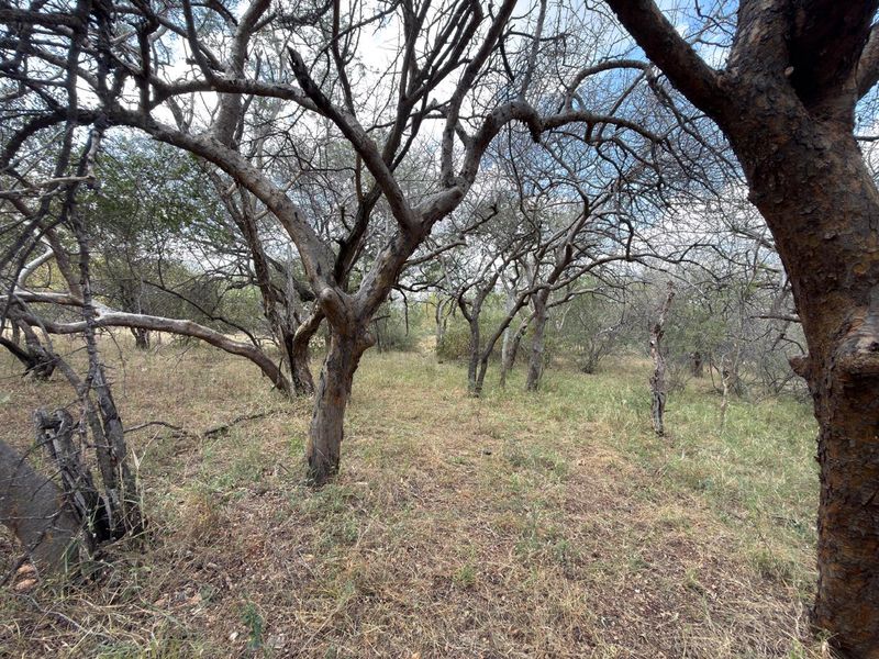 Lovely Bushveld Stand in Elephant Rock!! - Photo 7