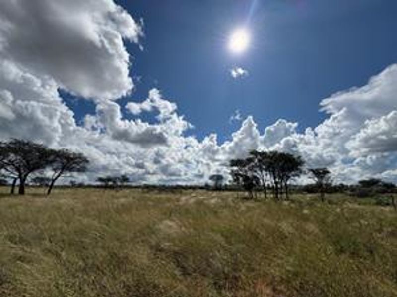 Discover this incredible 4500ha farm offering a perfect blend of modern infrastructure, abundant water resources, and rich wildlife - Photo 4