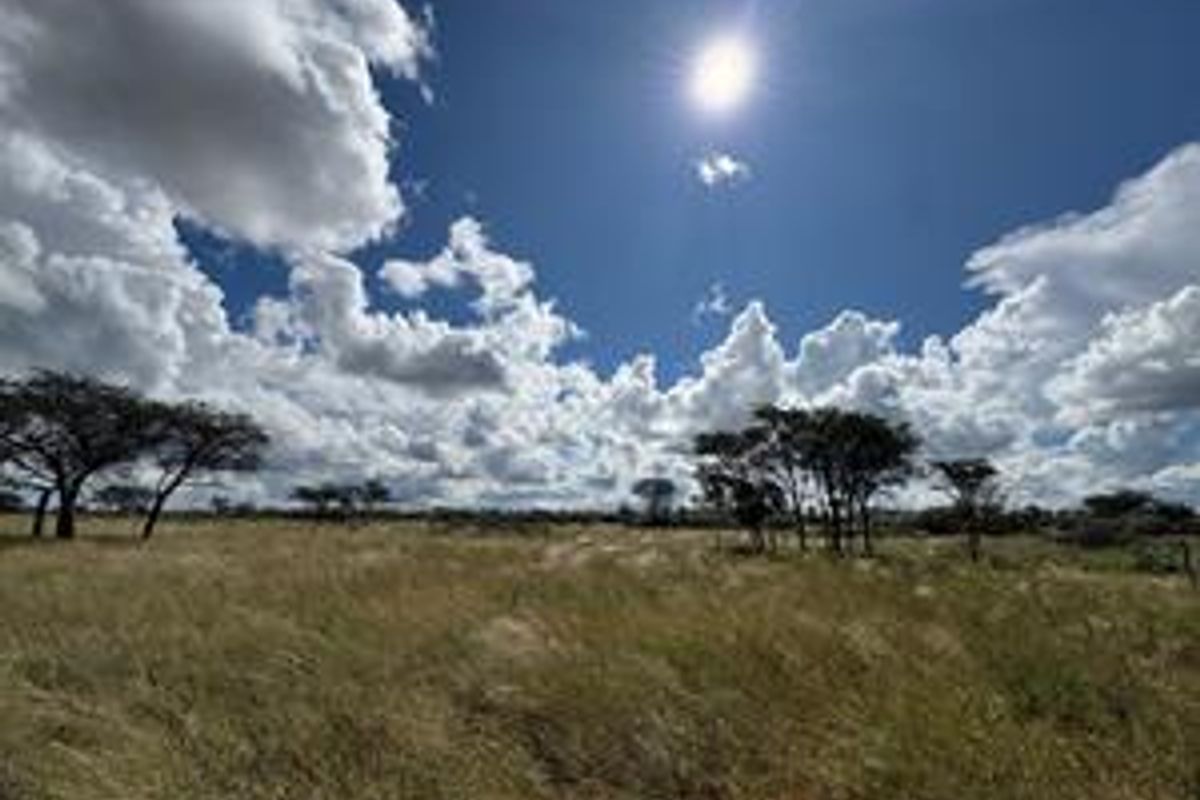 Discover this incredible 4500ha farm offering a perfect blend of modern infrastructure, abundant water resources, and rich wildlife - Photo 4