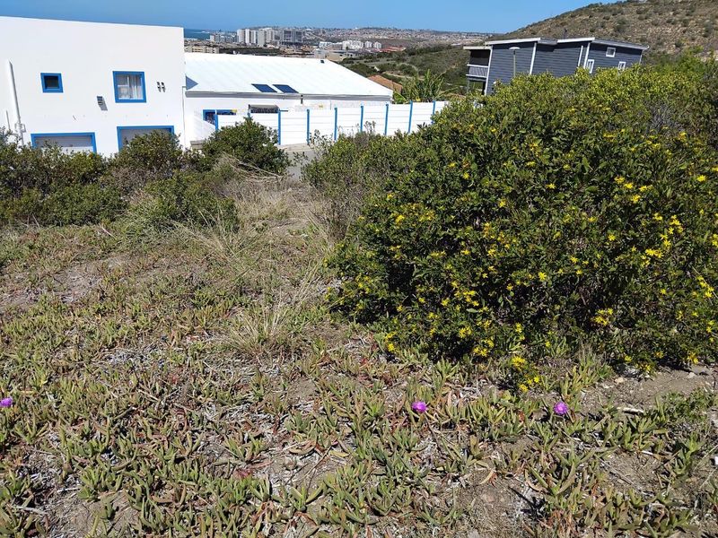 Spacious Vacant Stand in Prime Location – 973m2  : Island View, Mossel bay - Photo 5
