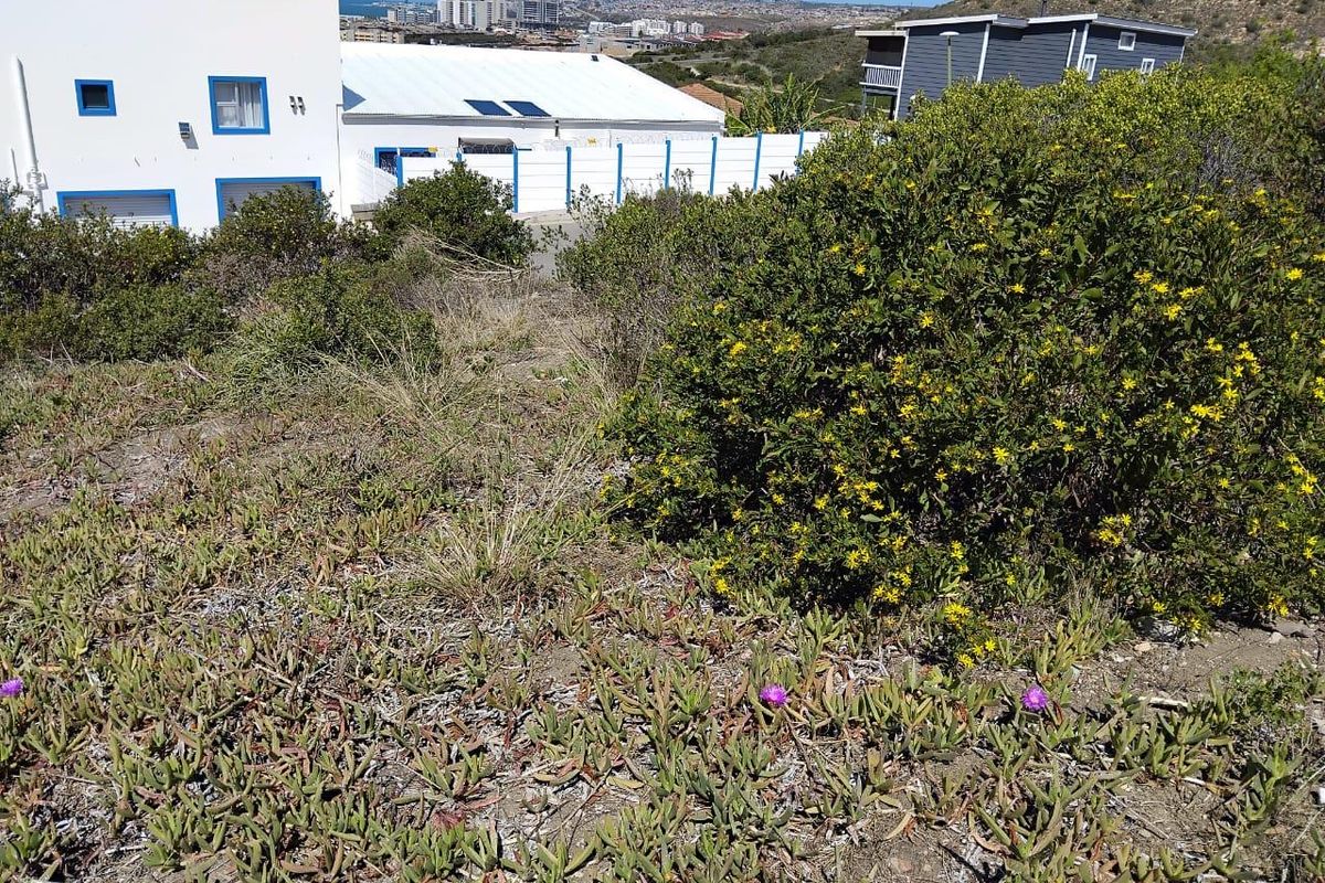 Spacious Vacant Stand in Prime Location – 973m2  : Island View, Mossel bay - Photo 5