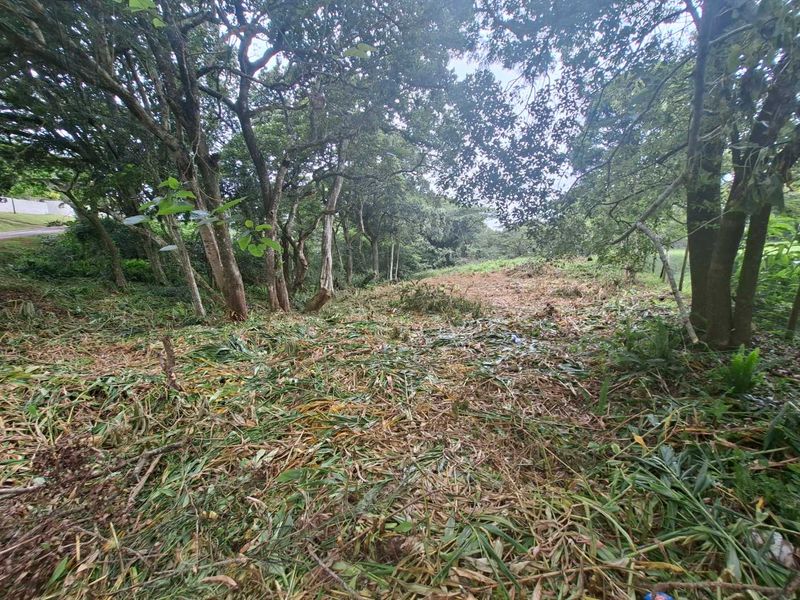 Nestled in the serene enclave of Crestview - Photo 3