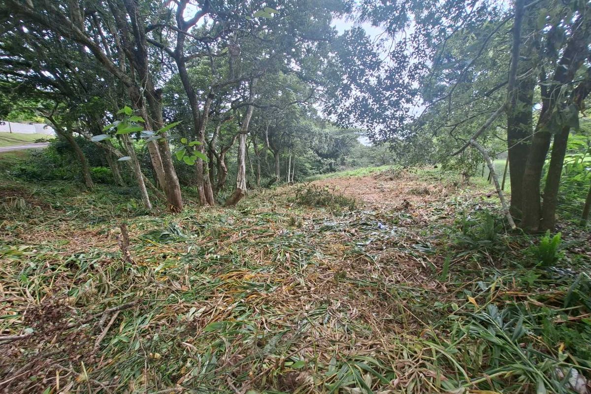 Nestled in the serene enclave of Crestview - Photo 3