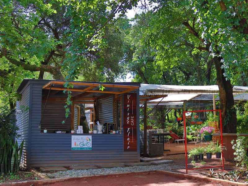 Established Plant Nursery Business For Sale. - Photo 6