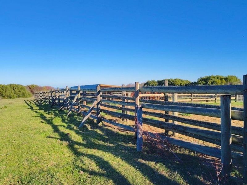 EXCEPTIONAL BEAUTIFUL VERSITILE FARM TO DEVELOP. TOURIST ATTRACTION - Photo 4