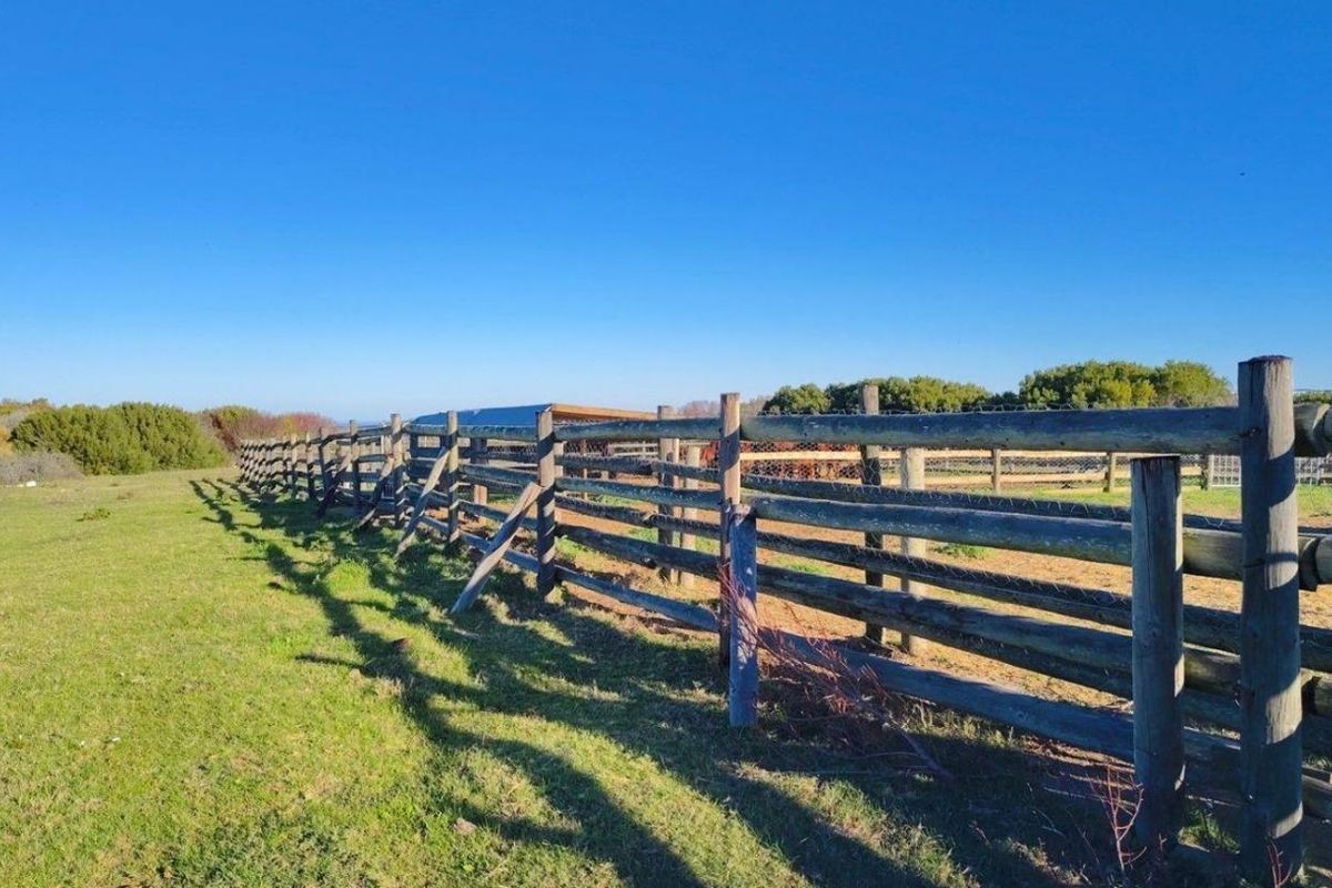 EXCEPTIONAL BEAUTIFUL VERSITILE FARM TO DEVELOP. TOURIST ATTRACTION - Photo 4