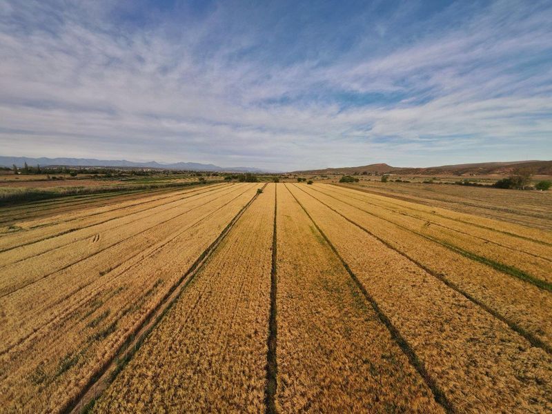 Wanted: Visionary Robust Investors/Developers!! - Photo 8