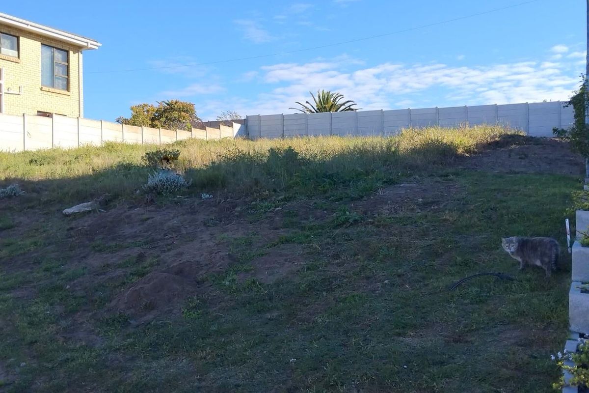 Vacant  stand in Tergniet, Garden Route - Photo 3