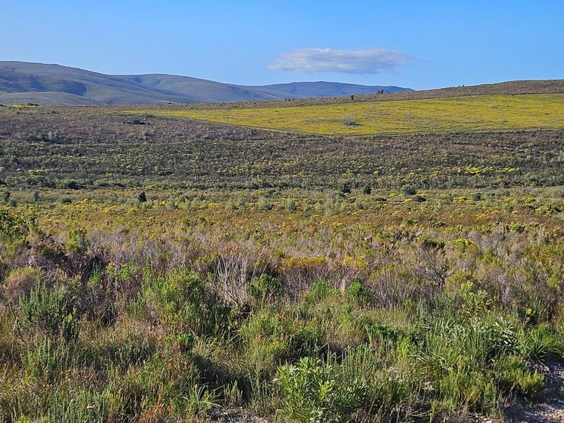 A Dream Come True - Photo 4