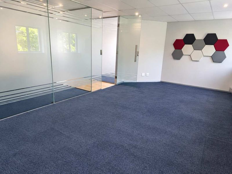 A bright, empty office space featuring a modern glass partition, blue carpeting, and decorative acoustic wall panels.