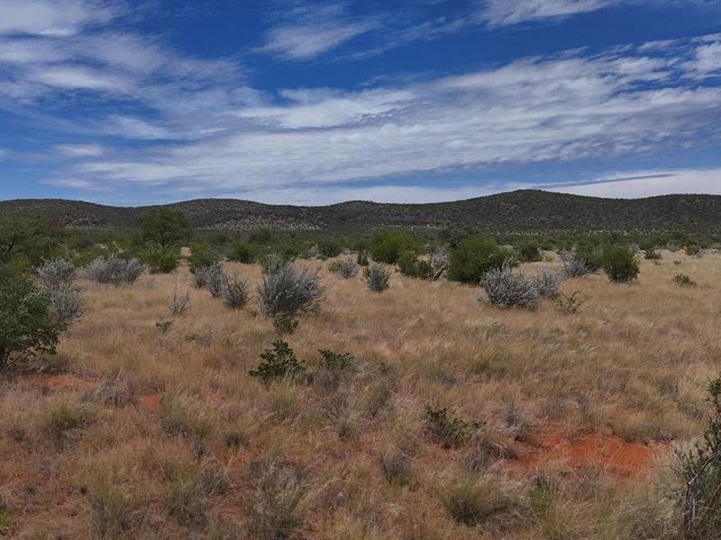Expansive view of the natural farm landscape featuring native vegetation, dry grasses, and rolling hills under a clear blue sky.