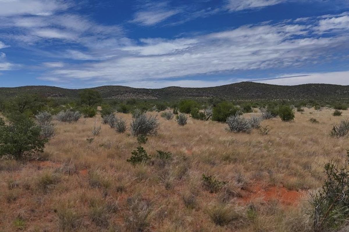 Expansive view of the natural farm landscape featuring native vegetation, dry grasses, and rolling hills under a clear blue sky.