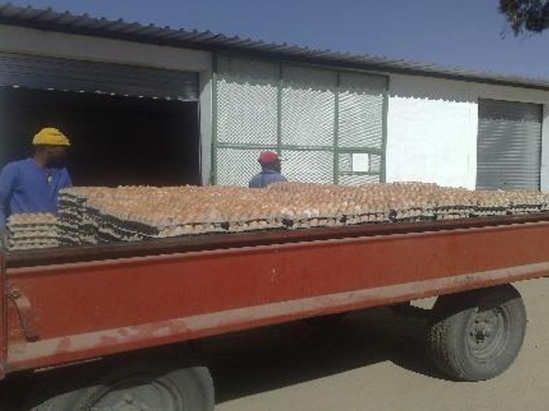 PLOT AND POULTRY BUSINESS FOR SALE – OKAHANDJA - Photo 10
