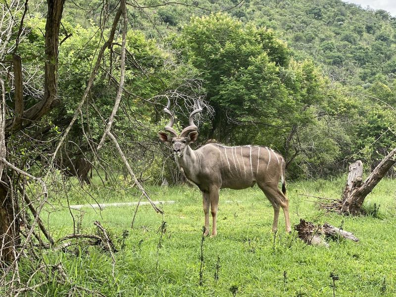 Build Your Dream Home - Photo 2