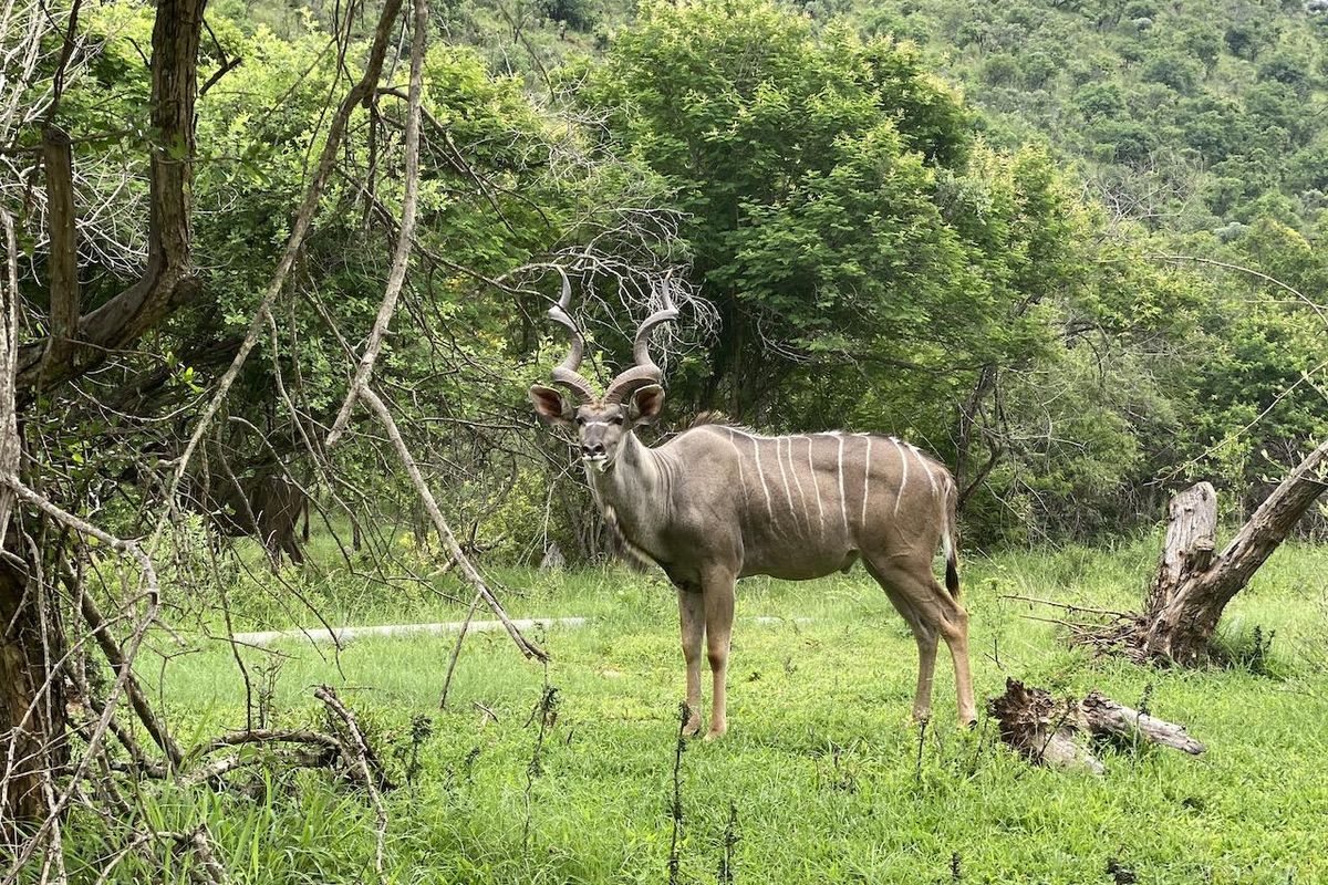 Build Your Dream Home - Photo 2