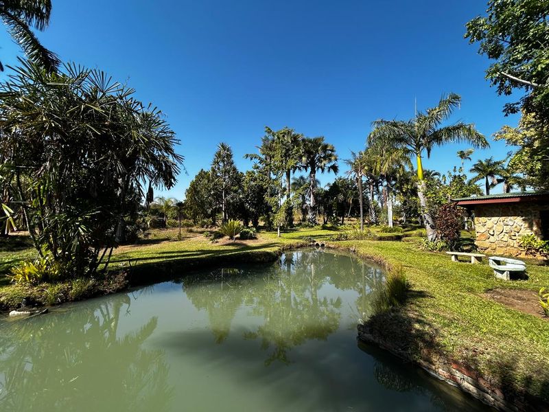 OFFERS WELCOME! Frost-Free Farm: Perfect for Farming, Lifestyle or Business Ventures - Photo 7