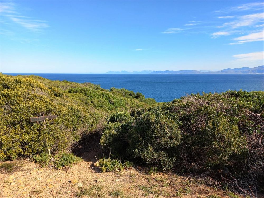 Same as previous photo; now being zoomed in. Walker Bay in front of us & Hermanus coastline at the back.