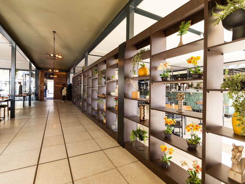 Shape Your Future in a 492m2 Oasis of Luxury and Style! - Photo 7