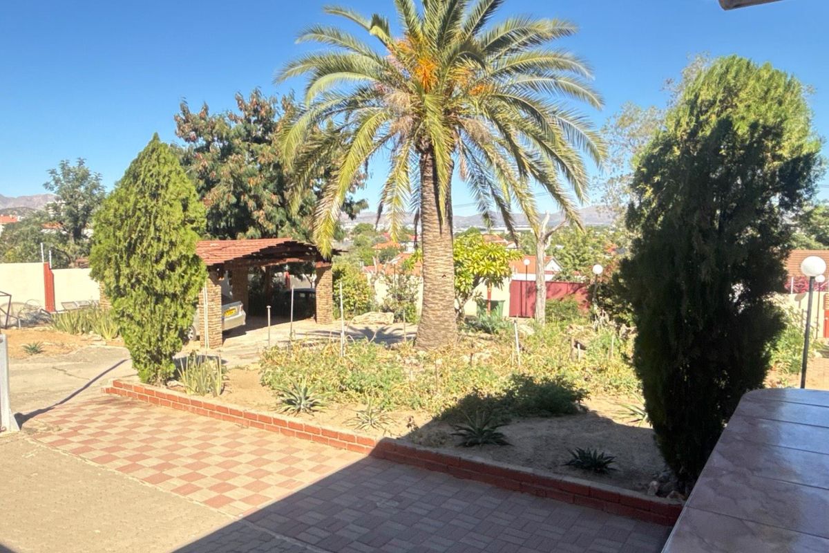 A spacious rear garden area featuring a large palm tree, paved patio sections, and a covered carport structure in the background.