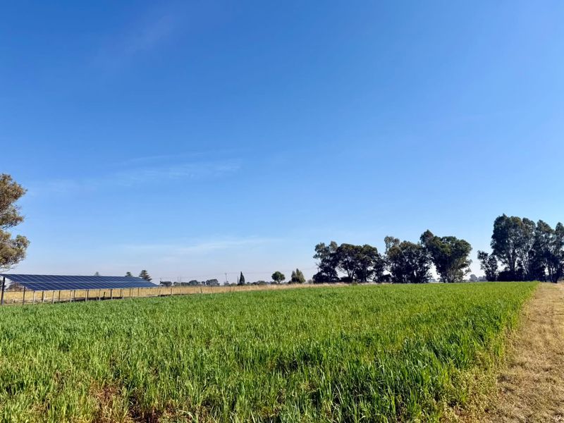 Farm Just Outside Town with Valuable Water Rights - Photo 4