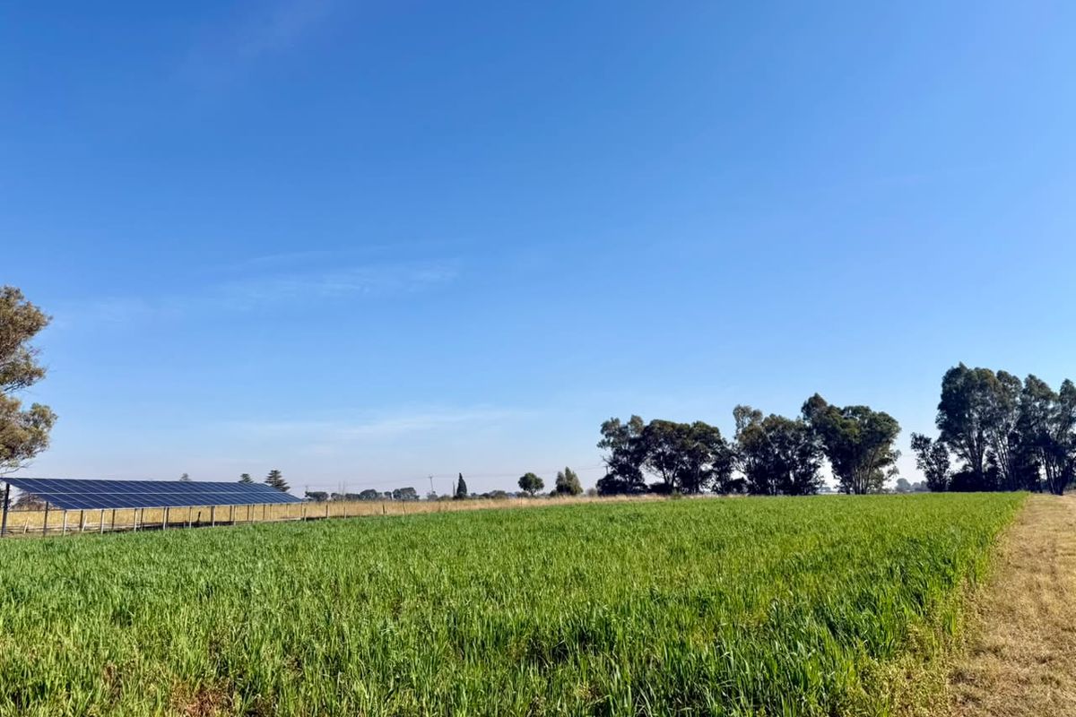 Farm Just Outside Town with Valuable Water Rights - Photo 4