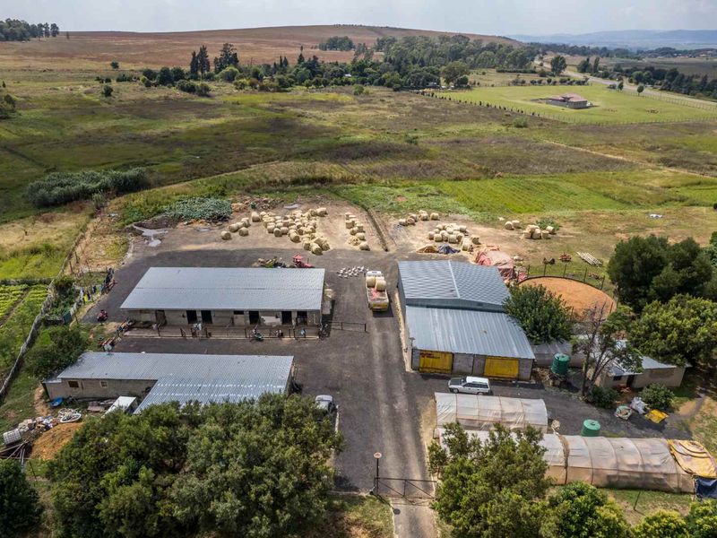 Large multi-use farm for sale in Drumblade, Walkerville - Photo 9