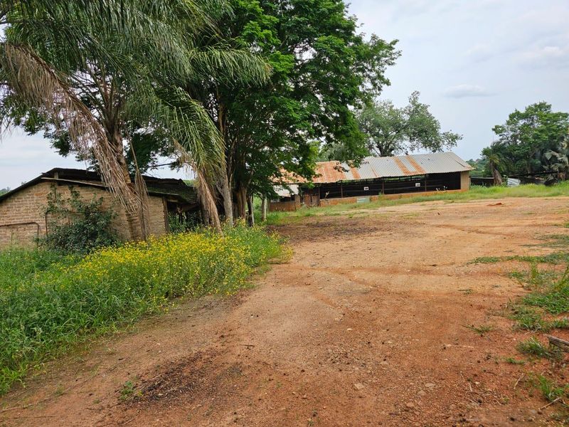 FOR SALE: PRIME 9,338 m2 COMMERCIAL STAND – R524 Punda Maria ROAD, THOHOYANDOU - Photo 6