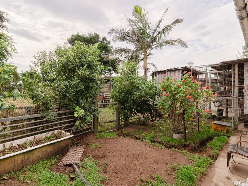 Smallholding with endless potential - Photo 3