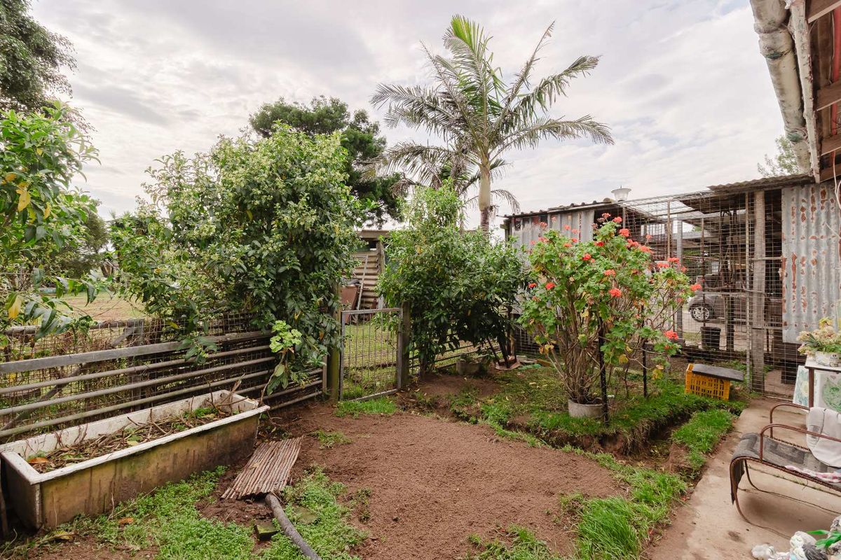 Smallholding with endless potential - Photo 3